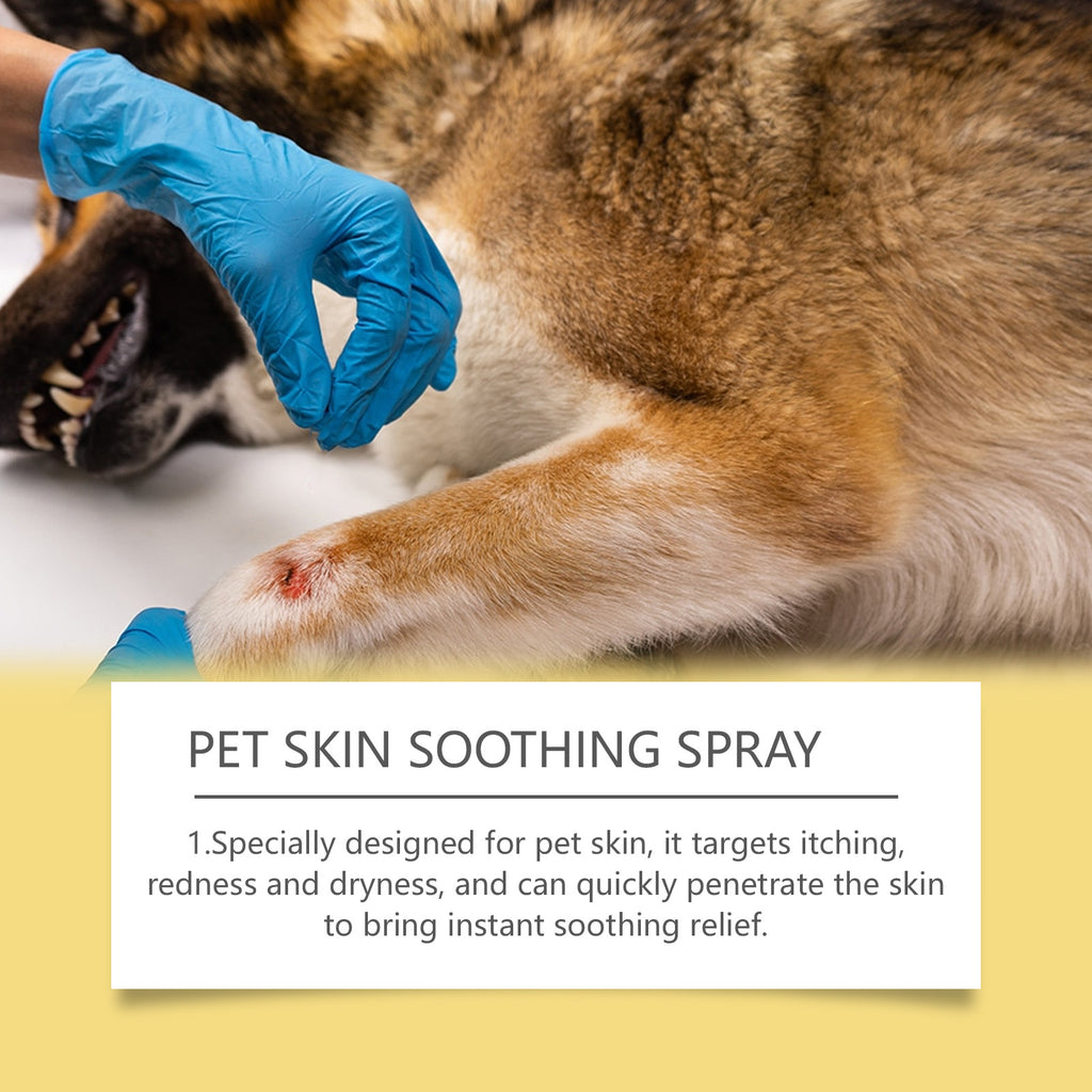 Pet Skin Care Spray Relief for Dogs/Cats, Treats  Flea Lice Skin Scratching and Licking, Portable Pet Wound Spray