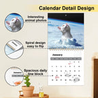 2026 Cat Calendar For Cat Lovers, Humor Cats & Kitten  Calendar, 2026 Monthly Wall Hanging Calendars
