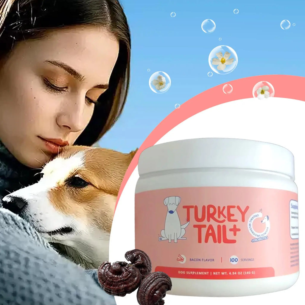 Dog Intestinal Flora Regulation for Improved Dog Digestive System and Support