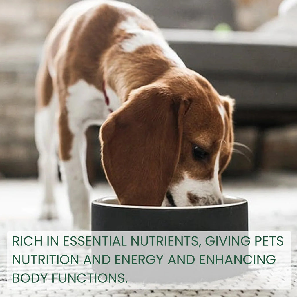 Probiotics Drop Digestive Health Support for Dogs,  Improve Gastrointestinal Vomiting Stomach