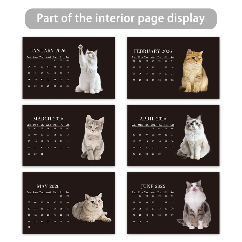 1pc 2026-2027 Cat Theme Calendar, Pet Cat，24- Monthly Planner, Desktop Calendar, Perfect Gift for the New Year
