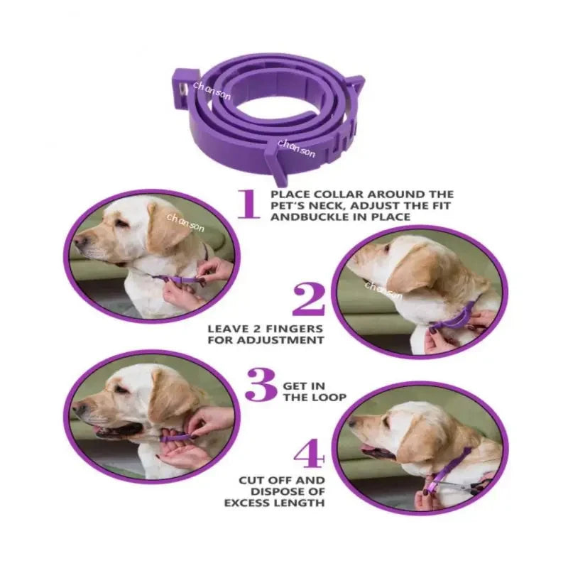 Calming flexible collar for cats dogs relieves anxiety stress