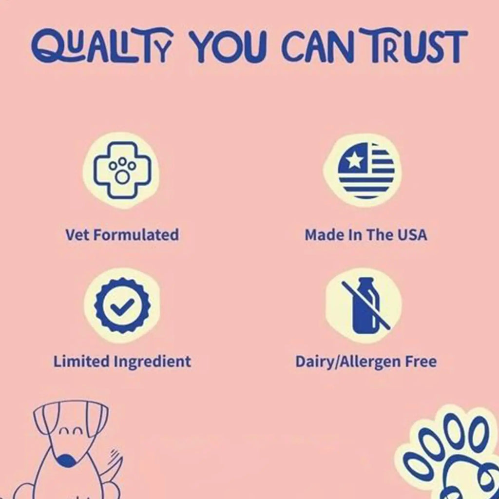 Dog Intestinal Flora Regulation for Improved Dog Digestive System and Support