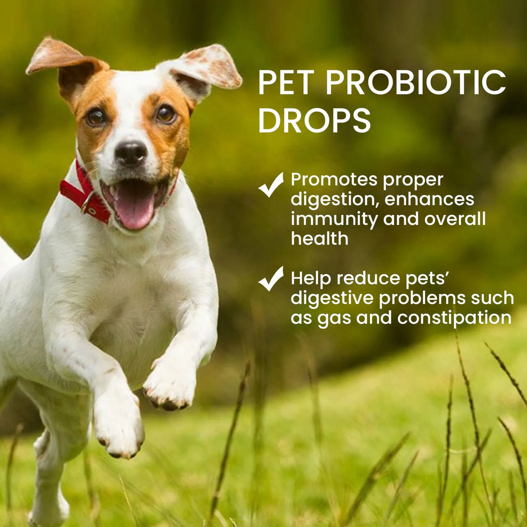 Probiotics Drop Digestive Health Support for Dogs,  Improve Gastrointestinal Vomiting Stomach