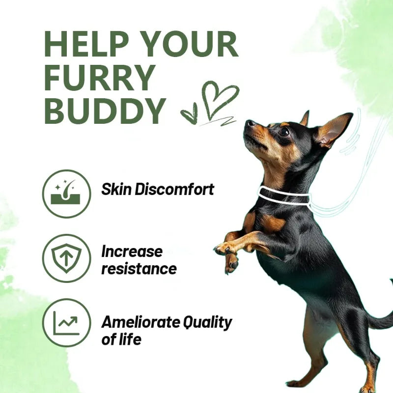 Anti-allergy & Immune Support Powder for dogs, Contains Omega-3 Fish Oil, Probiotics, Quercetin for itching relief and seasonal allergies