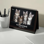 1pc 2026-2027 Cat Theme Calendar, Pet Cat，24- Monthly Planner, Desktop Calendar, Perfect Gift for the New Year