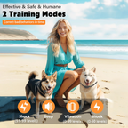 2000Ft Electric Dog Training Collar, Remote Control, Waterproof, Shock Vibration -  For Canine Pets 5-120lbs