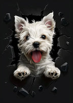 Funny Dog Posters for Wall Decoration