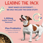 Dog Intestinal Flora Regulation for Improved Dog Digestive System and Support