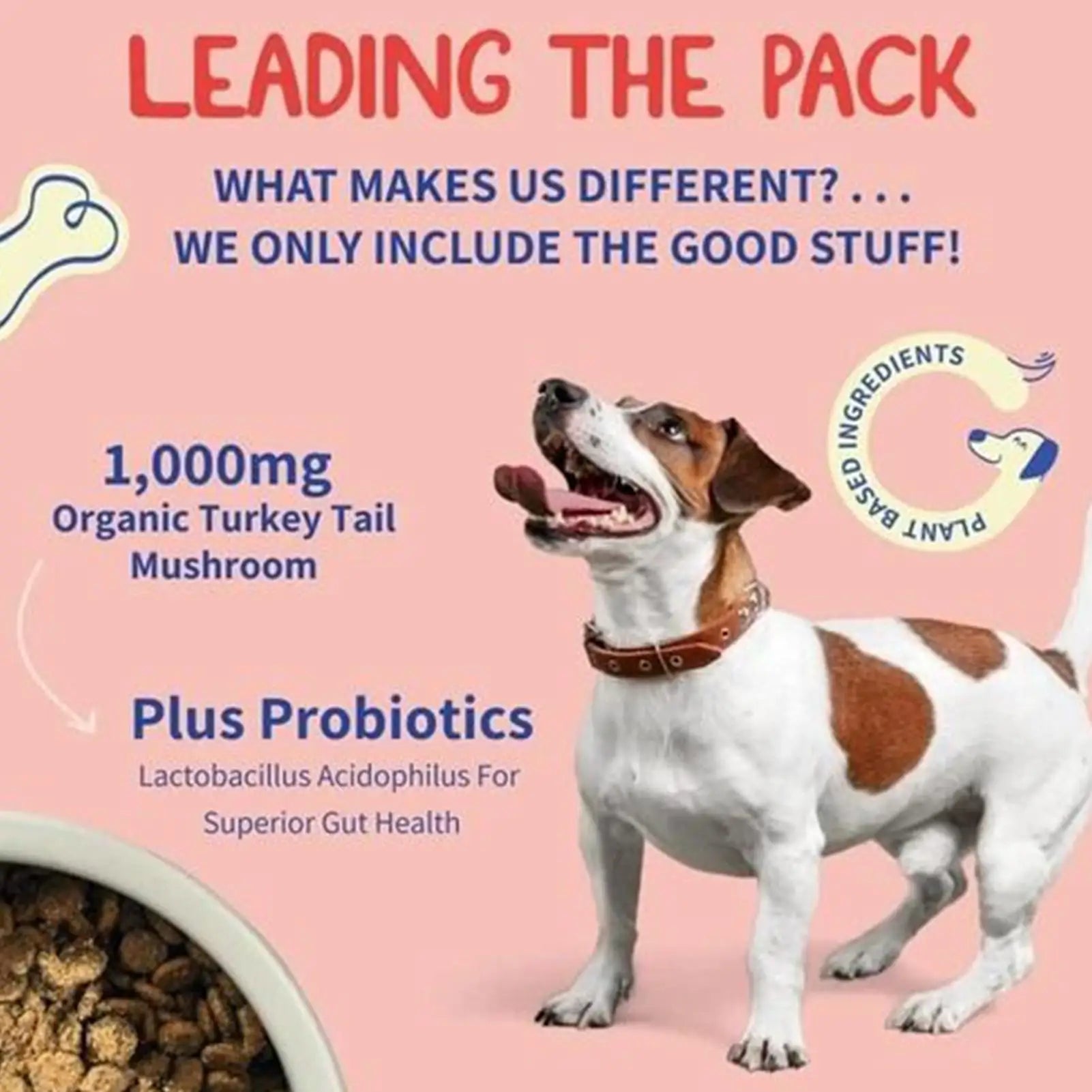 Dog Intestinal Flora Regulation for Improved Dog Digestive System and Support