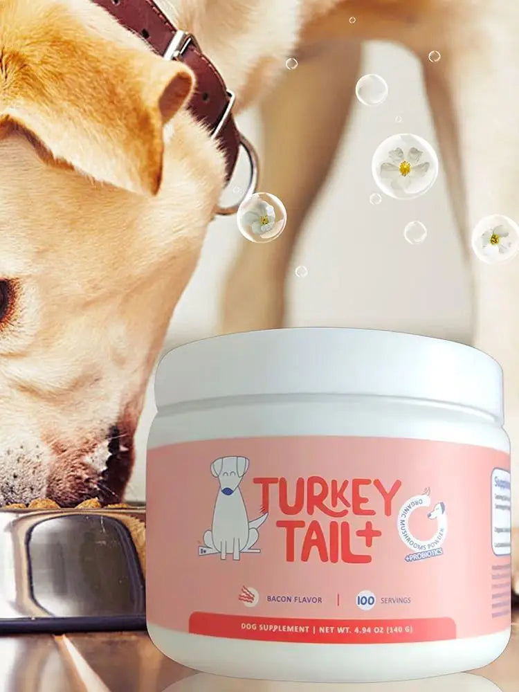 Dog Intestinal Flora Regulation for Improved Dog Digestive System and Support