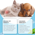 Immunity Boost Care Drops, Relieves Pet Stress and Pain, Enhance Pets' Immunity for Dogs and Cats