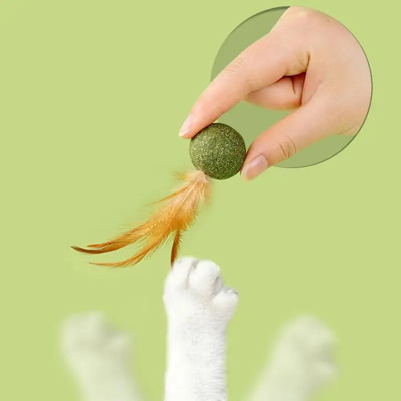 Natural Catnip Feather Balls - Lickable - Cat Kitten Scratchers - Fresh Breath  - Chewing Toy
