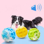 Pet dog toys are sturdy and durable, can alleviate teething discomfort, and are suitable for use during outdoor training.