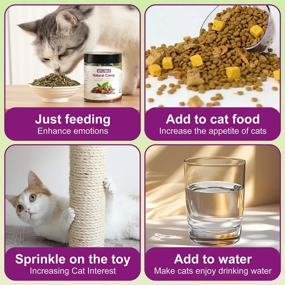 Cat Crack Catnip 100% Natural Safe & Non-Addictive Catnip Treats