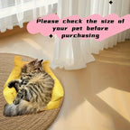 Cat Sofa Bed with Cartoon Design, Detachable Washable for Indoor Cats, Support Up To 2.72KG