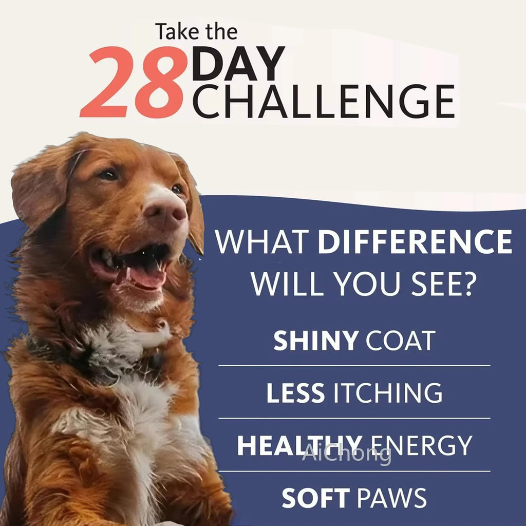 8 fl oz 200ML SALMON OIL for Pets (Dog and Cats),  Natural No Chemical Treatment, 21 Omega Fatty Acids, Nutritional Supplements