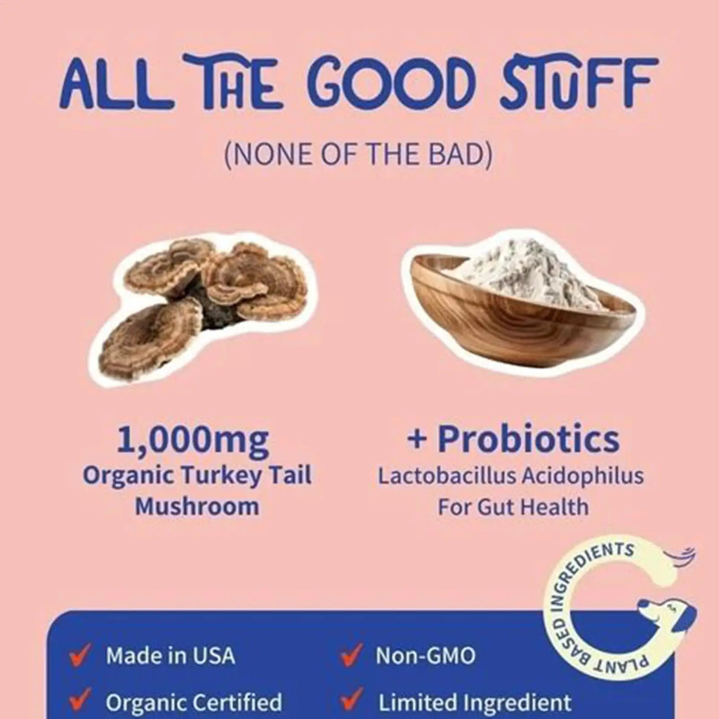 Dog Intestinal Flora Regulation for Improved Dog Digestive System and Support