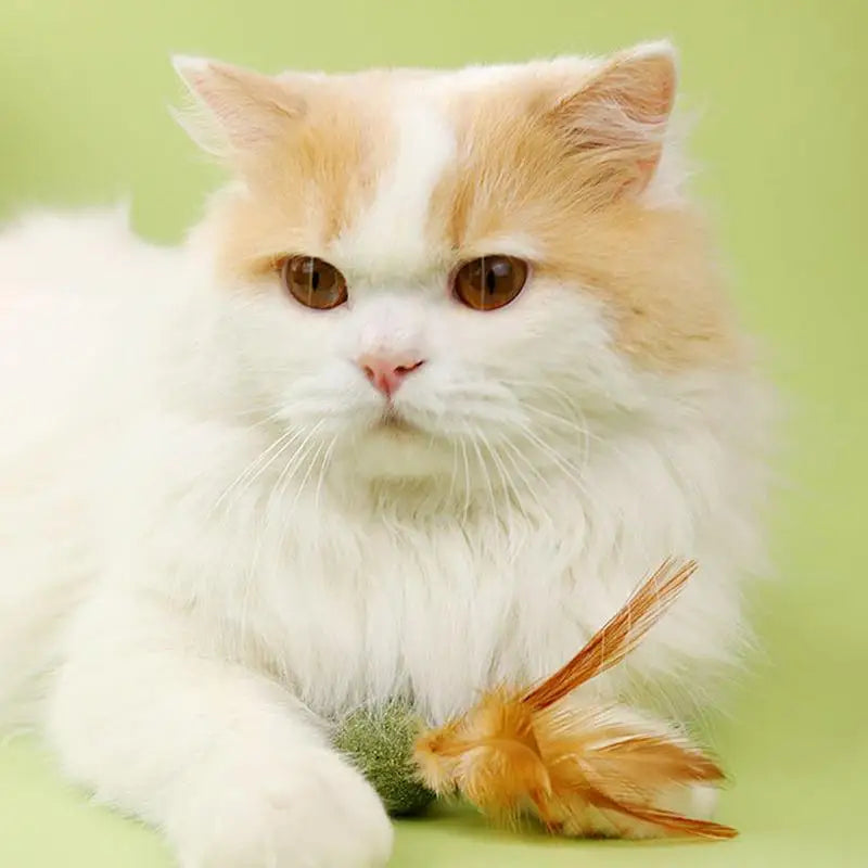 Natural Catnip Feather Balls - Lickable - Cat Kitten Scratchers - Fresh Breath  - Chewing Toy