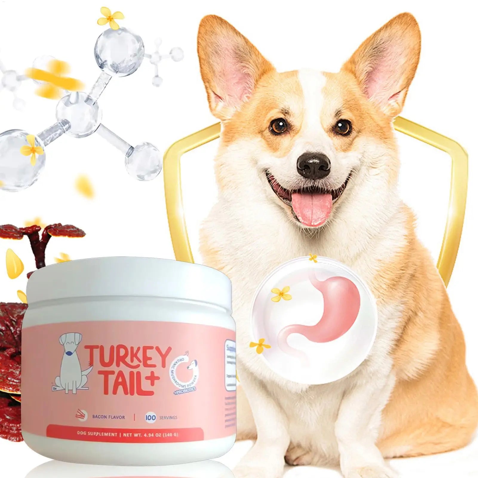 Dog Intestinal Flora Regulation for Improved Dog Digestive System and Support