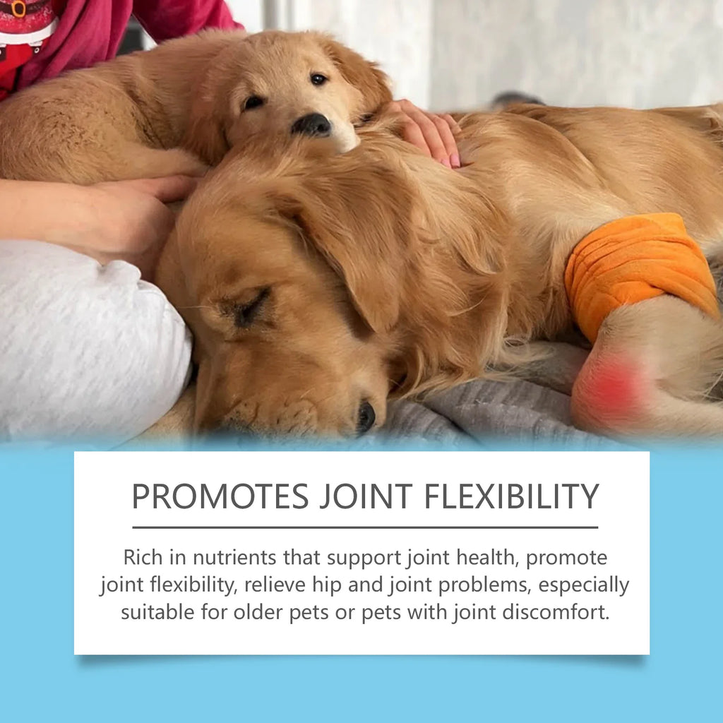 Immunity Boost Care Drops, Relieves Pet Stress and Pain, Enhance Pets' Immunity for Dogs and Cats