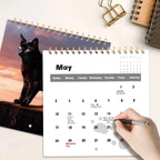 2026 Cat Calendar For Cat Lovers, Humor Cats & Kitten  Calendar, 2026 Monthly Wall Hanging Calendars