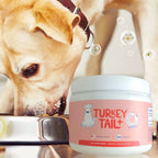 Dog Intestinal Flora Regulation for Improved Dog Digestive System and Support