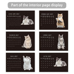 1pc 2026-2027 Cat Theme Calendar, Pet Cat，24- Monthly Planner, Desktop Calendar, Perfect Gift for the New Year