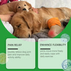 Puppy Joint Care Soft Chews Tablets - Older Dogs Hip Care - Soft Chews For Small Dogs