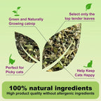 Cat Crack Catnip 100% Natural Safe & Non-Addictive Catnip Treats