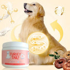 Dog Intestinal Flora Regulation for Improved Dog Digestive System and Support