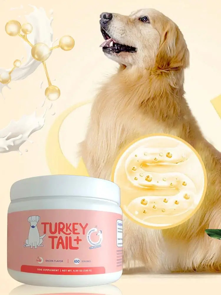 Dog Intestinal Flora Regulation for Improved Dog Digestive System and Support