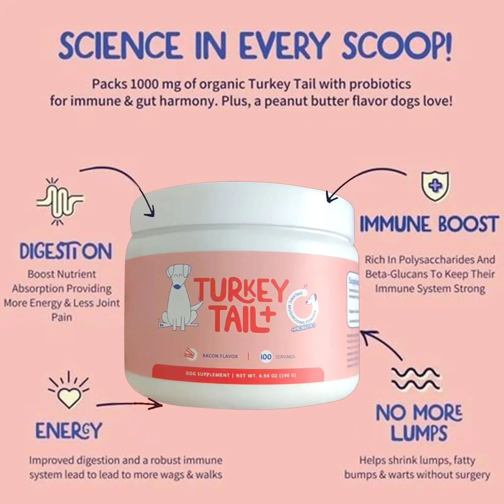 Dog Intestinal Flora Regulation for Improved Dog Digestive System and Support