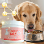 Dog Intestinal Flora Regulation for Improved Dog Digestive System and Support