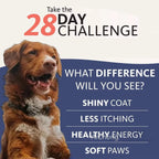 8 fl oz 200ML SALMON OIL for Pets (Dog and Cats),  Natural No Chemical Treatment, 21 Omega Fatty Acids, Nutritional Supplements