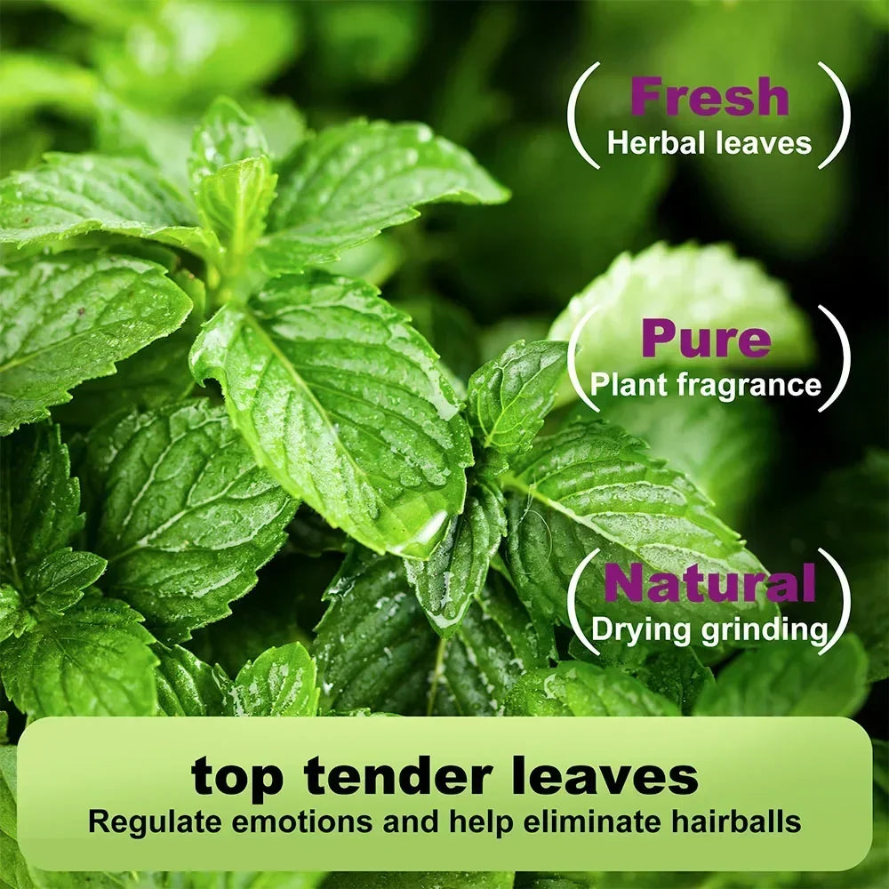 Cat Crack Catnip 100% Natural Safe & Non-Addictive Catnip Treats