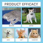 Immunity Boost Care Drops, Relieves Pet Stress and Pain, Enhance Pets' Immunity for Dogs and Cats