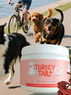 Dog Intestinal Flora Regulation for Improved Dog Digestive System and Support