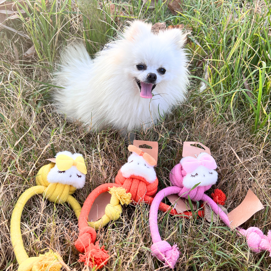 Mimi Dog Tug Toys – Durable Playtime 3 Pac