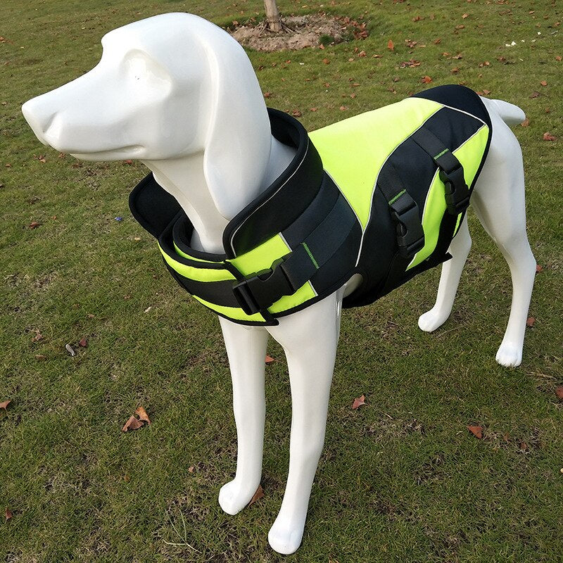 Winter Dog Jacket
