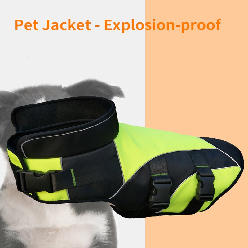 Winter Dog Jacket